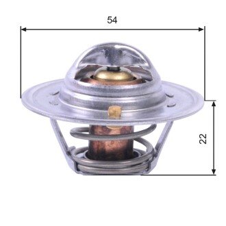 Термостат gates TH12888G1 на Rover Mini