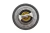 Термостат Opel gates TH23389G1