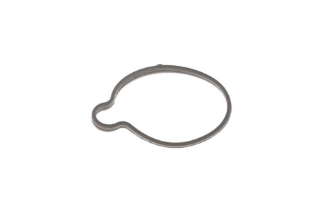 Прокладка радіатора масляного gazo GZA1600