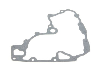 Прокладка насосу масляного gazo GZA1701 на Iveco Daily 3