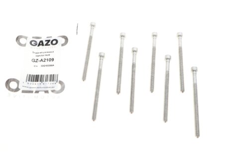 Болт кріплення форсунки gazo GZA2109