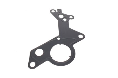 Ремкомплект насоса паливного gazo GZF1049