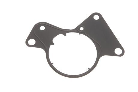 Ремкомплект насосу вакуумного gazo GZF1103