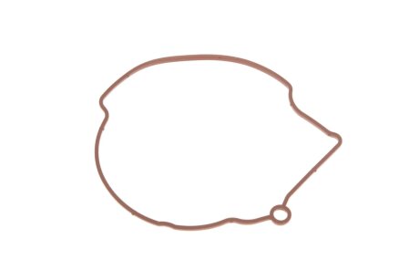 Ремкомплект насосу вакуумного gazo GZF1103