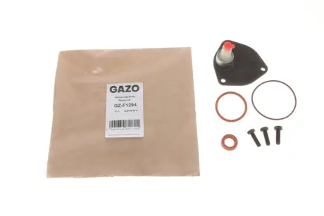 Ремкомплект насосу вакуумного GAZO GZF1294