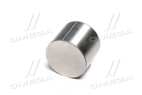 Гидрокомпенсатор (толкатель клапана) general motors 28289750