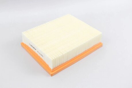 Фільтр повітряний Trafic 2.0 16V 06-/Laguna 03- (з сіткою) goodrem RF1219SWB