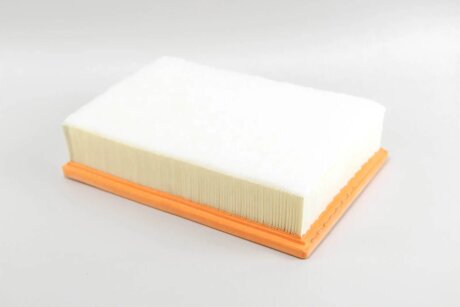 Фільтр повітряний Ford Transit 2.0 TDCI 15- (з сіткою і передфільтром) goodrem RF1298FSWB