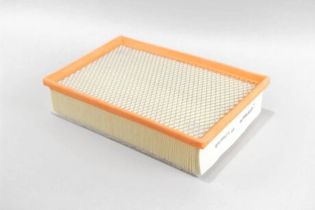 Фільтр повітряний Ford Transit 2.0 TDCI 15- (з сіткою і передфільтром) goodrem RF1298FSWB