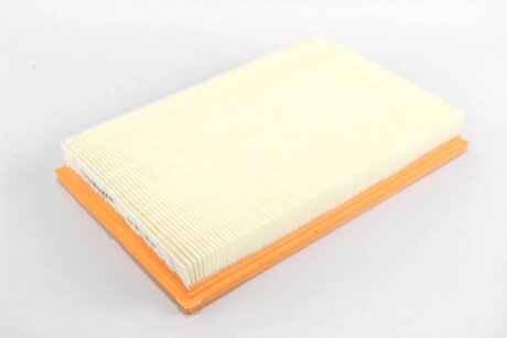 Фільтр повітряний 1.4 Caddy III (75PS)/Golf IV/V/Octavia/Fabia goodrem RF1313WB