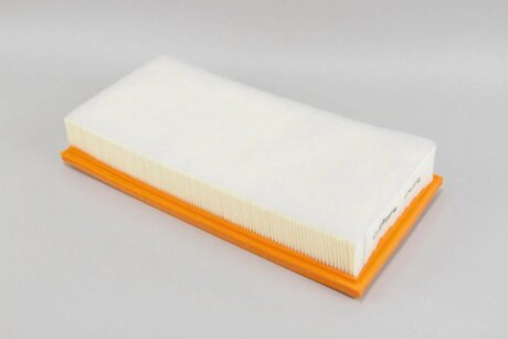 Фільтр повітряний Scudo/Jumpy/Expert 95-07 (з передфільтром) goodrem RF1418FWB