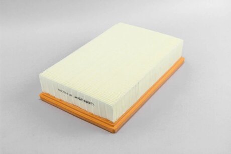 Фільтр повітряний Pathfinder III/IV/Navara 2.5/3.0 dCi 05- goodrem RF1460WB