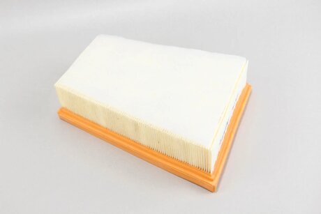 Фільтр повітряний Megane III/Scenic 09-/Fluence 10- (з передфільтром) goodrem RF1514FWB