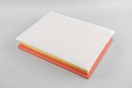 Фільтр повітряний Astra H/Zafira B 1.7/1.9 CDTi/1.6T 04- (з сіткою і передфільтром) goodrem RF1573FSWB