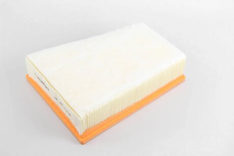 Фільтр повітряний Kangoo 1.5dCi 08- /MB Citan 12- (з сіткою і передфільтром) goodrem RF1652FSWB