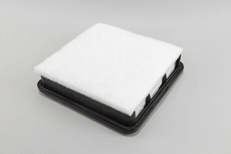 Фільтр повітряний Pajero Sport/L 200 2.5/3.0 07- (з передфільтром) goodrem RF1700FWB