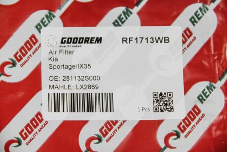 Фільтр повітряний Hyundai i10/Ceed/Cerato 1.4-2.0 11- goodrem RF1713WB