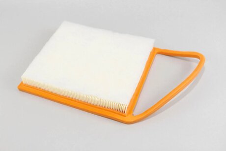 Фільтр повітряний Berlingo/Partner 1.6HDi 10- (з передфільтром) goodrem RF1745FWB