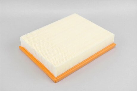 Фільтр повітряний FORD Mondeo V Edge Galaxy III 1.6-2.0 14- (з сіткою) goodrem RF1867SWB