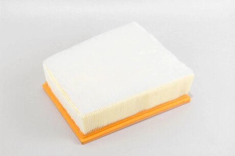 Фільтр повітряний Renault 1.5/1.6/1.8 dCi Megane 15- /Scenic IV 16- (з передфільтром) goodrem RF1905FWB