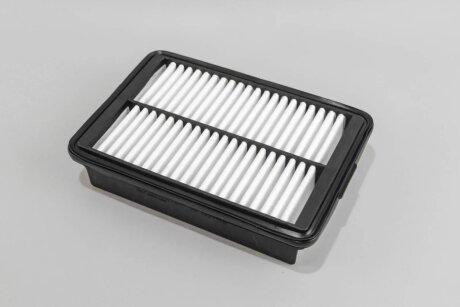 Фільтр повітряний Hyundai Elantra 1.6/2.0 i/D 15- / i30 1.0-1.6 T-GDI/MPI/CRDi 16- goodrem RF1937WB