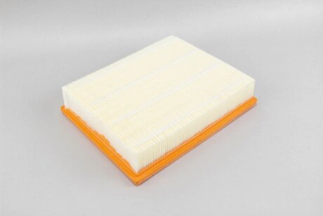 Фільтр повітряний Lincoln MKZ,MKX/Ford Galaxy,MondeoV,S-Max, Edge,Fusion 1.0-2.0D, 14- goodrem RF1953WB