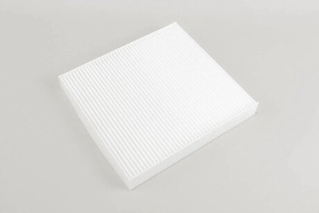 Фільтр салону Mitsubishi Outlander 06- goodrem RF2141WB