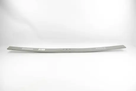 Задня ресора goodrem RP33721003