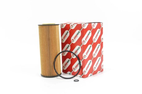 Масляный фильтр goodrem RF0248H на Ауди А3 8l