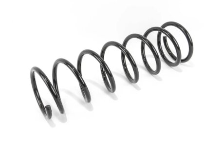 Задня пружина goodrem RP1119