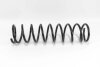 Пружина задняя goodrem RP1122