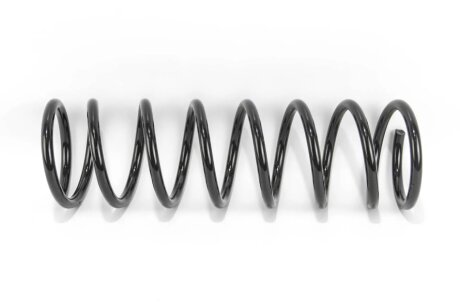 Пружина задняя goodrem RP1124