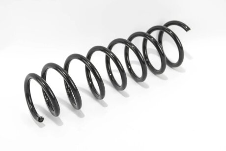 Задня пружина goodrem RP1140