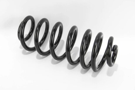 Задня пружина goodrem RP1150