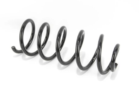 Пружина задняя goodrem RP1161