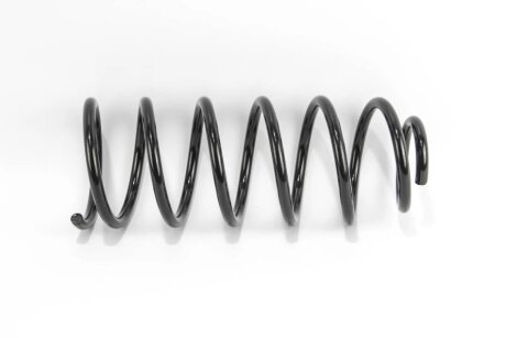 Пружина задняя goodrem RP1223