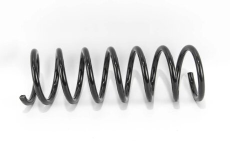 Задня пружина goodrem RP1229