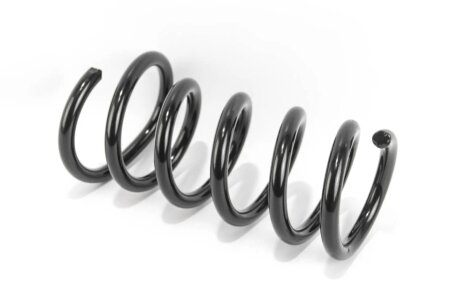 Задня пружина goodrem RP1232