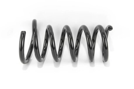 Задня пружина goodrem RP1232