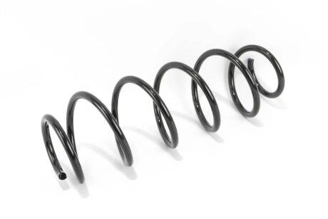 Пружина задняя goodrem RP1251