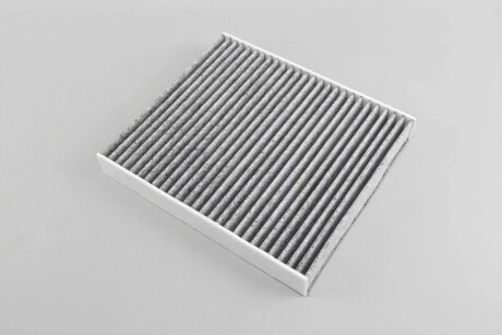 Вугільний фільтр салону goodrem RF2416CWB
