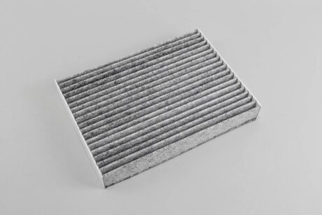 Угольный фильтр салона goodrem RF2433CWB