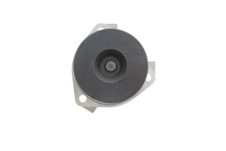 Помпа воды graf PA730