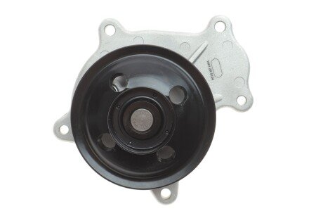 Помпа води graf PA1461