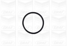 Помпа воды graf PA1245