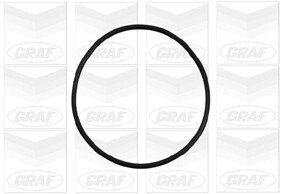 Помпа воды graf PA898