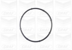 Помпа водяна graf PA1125