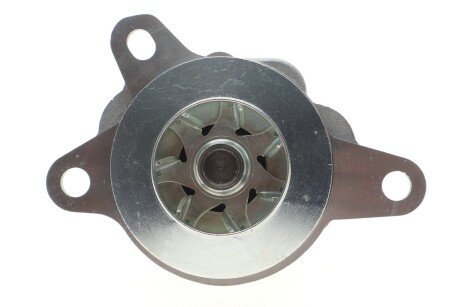 Водяна помпа Renault Koleos/Trafic 2,0DCi 19- graf PA1489