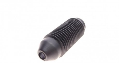 Пыльник + gsp 5406220PK