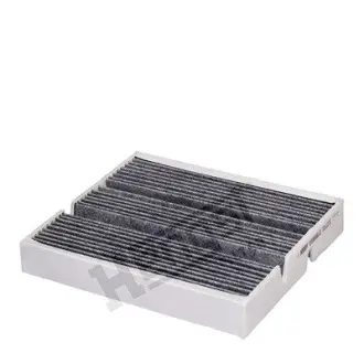 (HENGST) Hengst E5965LC